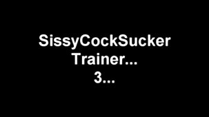 Lana Rhodes baise son film x vierge fan